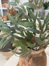 Load image into Gallery viewer, EUCALYPTUS SPRAY