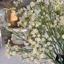 Load image into Gallery viewer, Baby's Breath stem