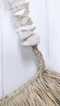 Load image into Gallery viewer, Cuttlefish wall art