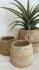Load image into Gallery viewer, Mana Antique Timber Pot