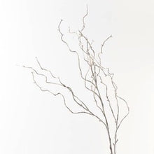 Load image into Gallery viewer, Twig Curly Willow Spray GREY WASH