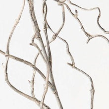 Load image into Gallery viewer, Twig Curly Willow Spray GREY WASH