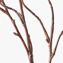 Load image into Gallery viewer, Twig Curly Willow Spray- Brown