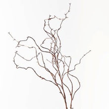 Load image into Gallery viewer, Twig Curly Willow Spray- Brown