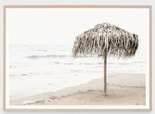 Load image into Gallery viewer, Palm Parasol