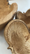 Load image into Gallery viewer, Budha Nut Pod